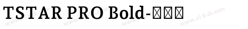 TSTAR PRO Bold字体转换